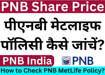 How to check PNB MetLife policy?